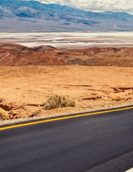 粉象生活下载app