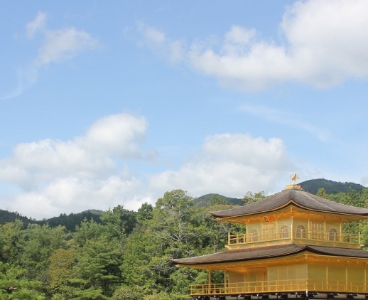 粉象生活下载app