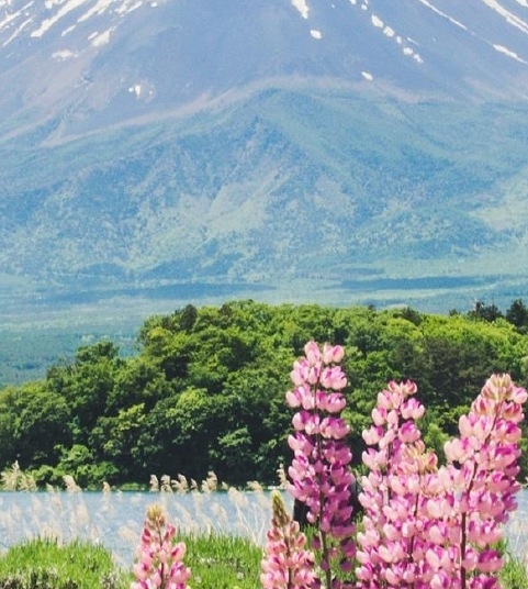 辽宁句美象娱乐