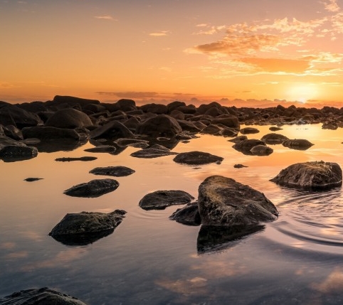 粉象生活代理费