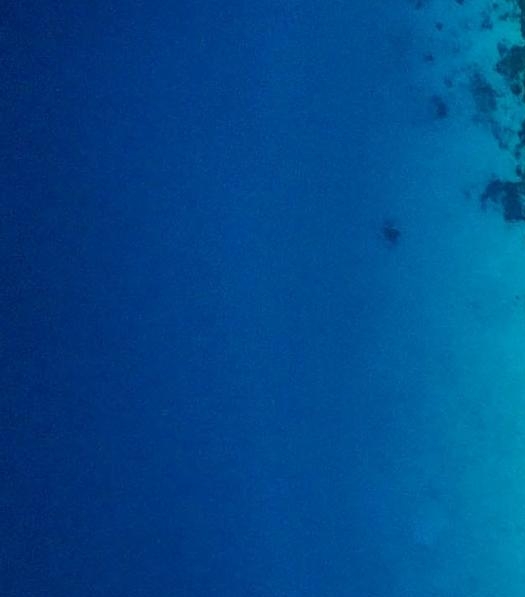 粉象生活怎么做任务