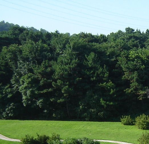 粉象生活值得长期持有吗