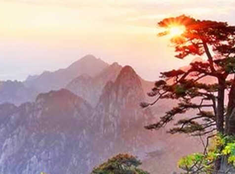 地摊经济极大的方便了人们的生活