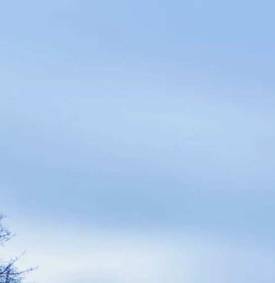 粉象生活游戏下载