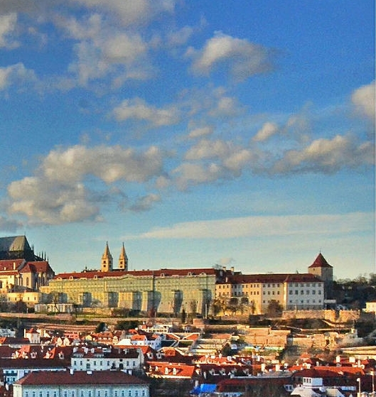 粉象生活免费代理