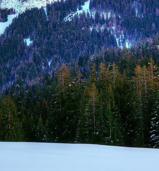 粉象生活可以赚钱吗