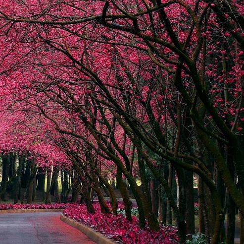 粉象生活怎么切换微信号