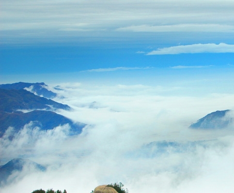 粉象生活怎样注销帐号