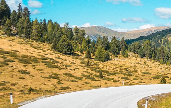 粉象生活是什么?