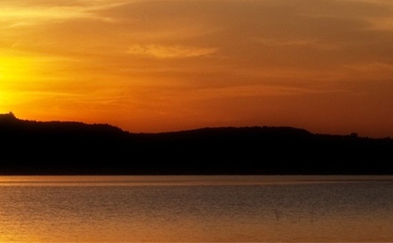 粉象生活如何推广