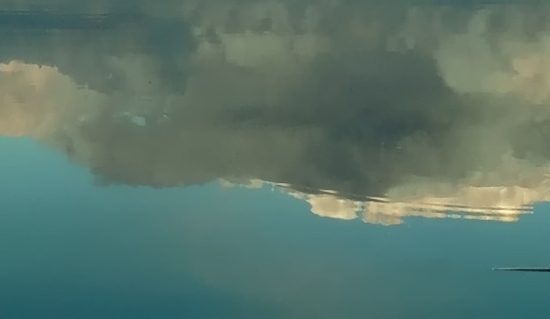 粉象生活怎么赚钱