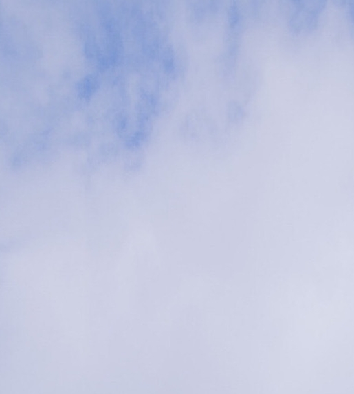 粉象生活返佣是真的吗