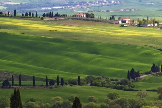 粉象生活邀请人怎么看