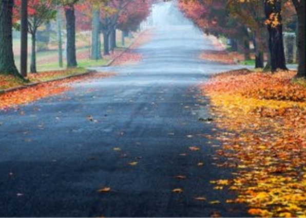 粉象生活的工作环境