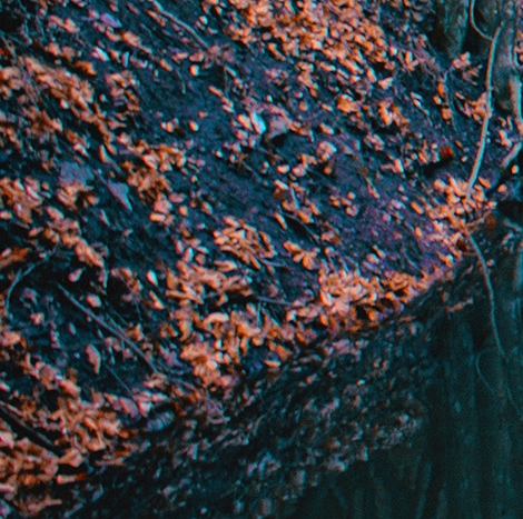 粉象生活新人一天赚多少了钱