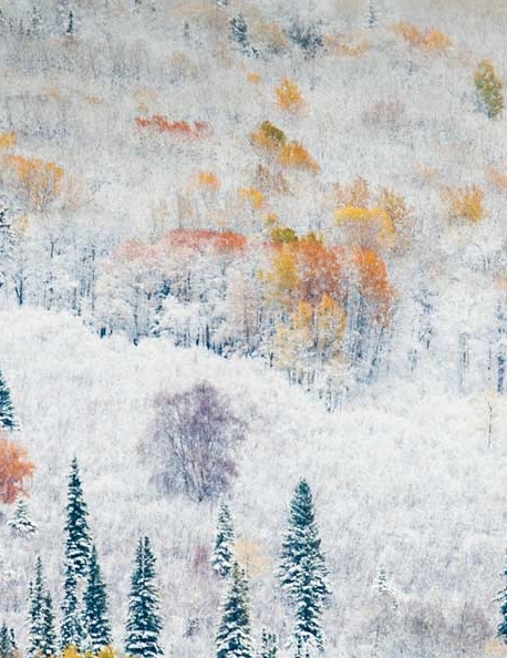 哪个是粉象真正的官网邀请码