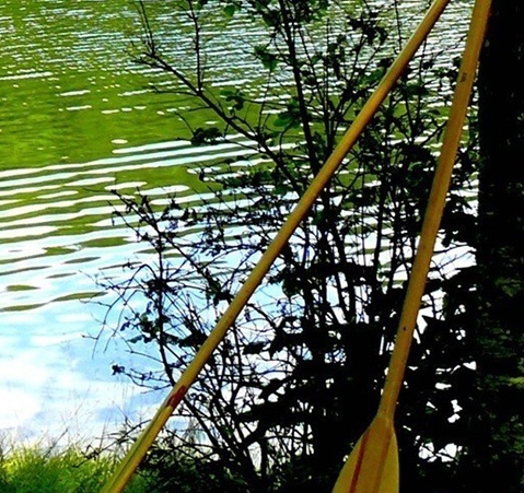 粉象生活任务大厅截图