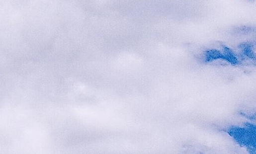 粉象生活的理解