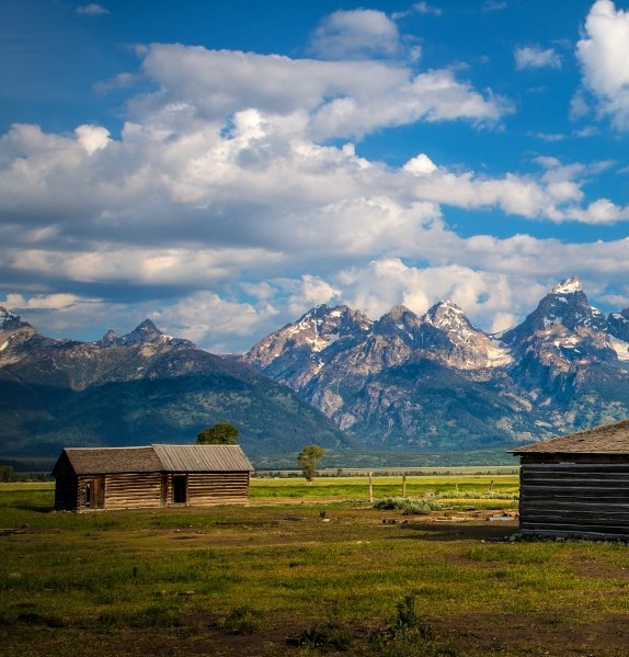粉象生活邀请码填谁的最好