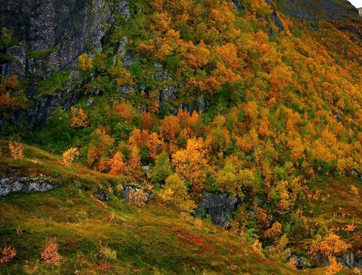 辽宁东象集团有限公司