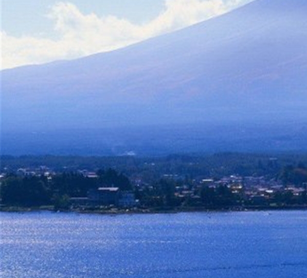 粉象生活官方邀请码哪一个是真的