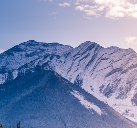 重庆粉象生活代理