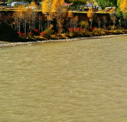 粉象生活是干什么的