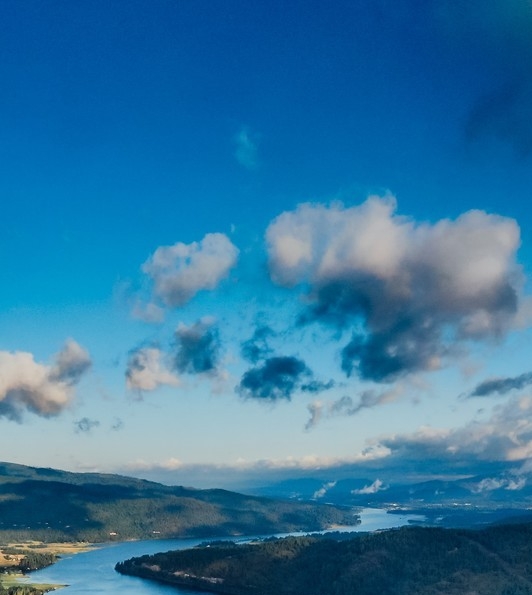 广州鲤享生活公司地址