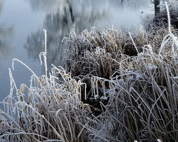 什么是粉象生活app