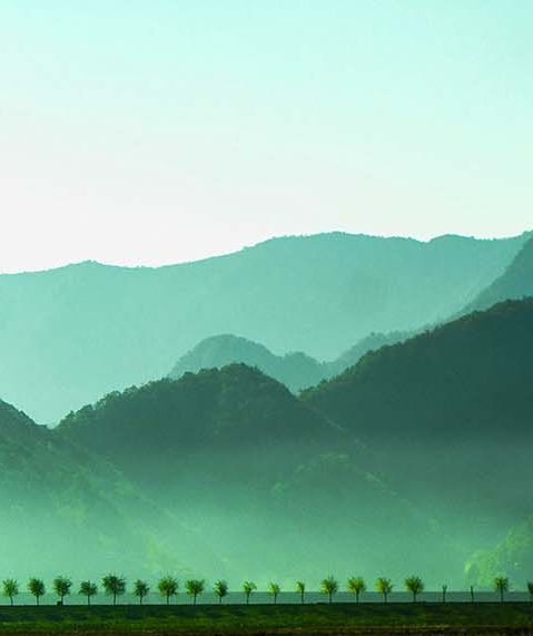 粉象为什么用邀请码