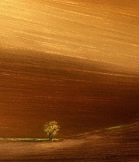 粉象生活赚钱教程