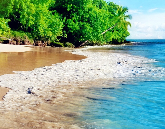 粉象生活发什么东西最快