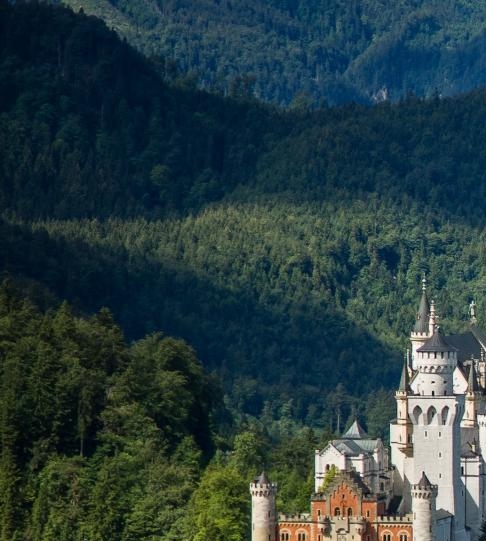 粉象生活下载app