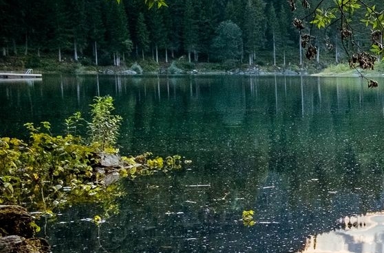 粉象生活要发朋友圈吗