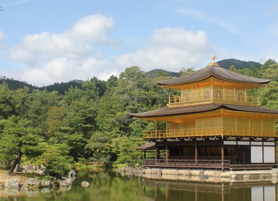 沧州粉象生活加盟