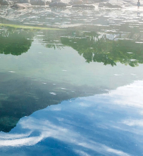 粉象生活推广规则