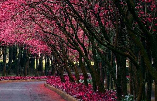 保山生活垃圾焚烧发电厂