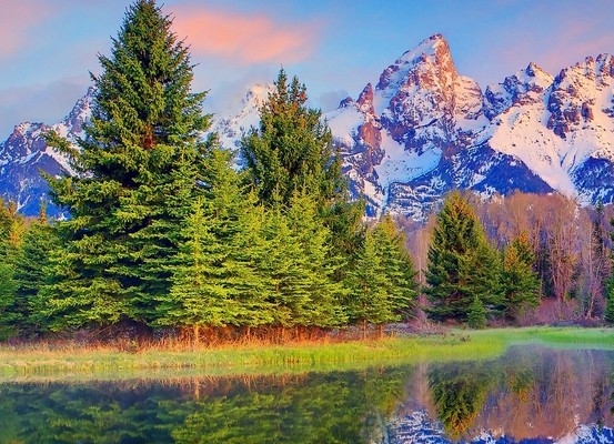 粉象生活怎么开通购物袋