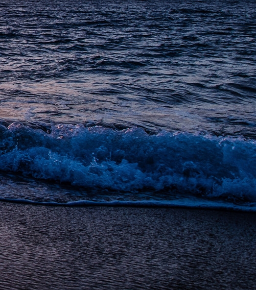 浙江正规粉象生活加盟商