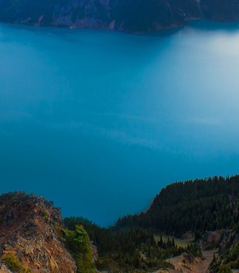 粉象生活怎么获得代理商