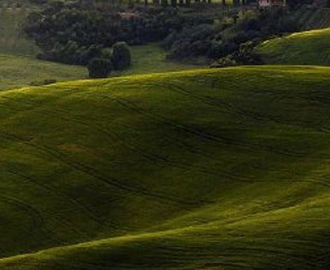 粉象生活APP怎么赚钱