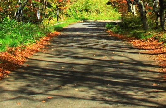 粉象生活如何下载安装