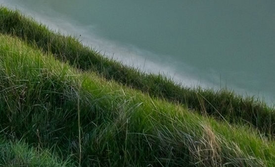 粉象生活是什么样的平台