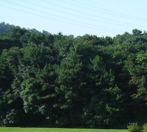 全职生活电视剧完整版