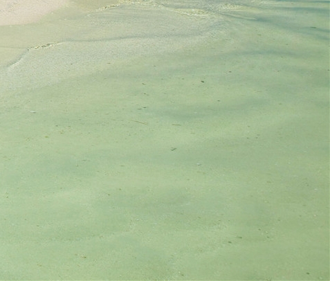 粉象生活手机版怎么提现