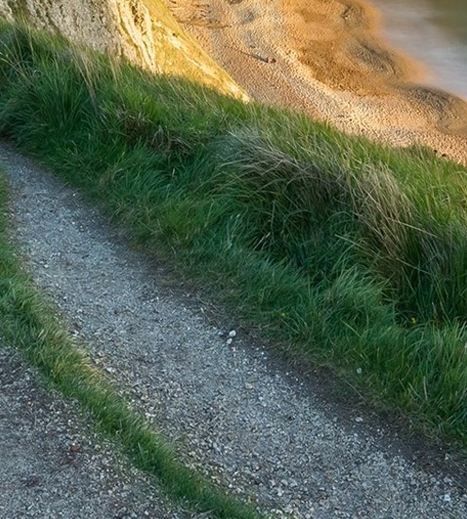 粉象生活怎么赚钱的