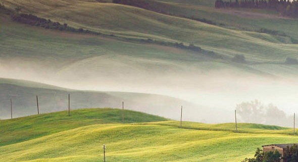 粉象生活分享宝箱是真的吗