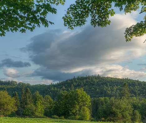 粉象生活邀请码