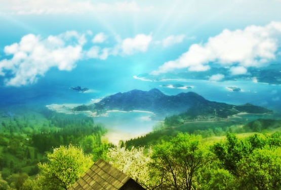 粉象生活交钱太坑人