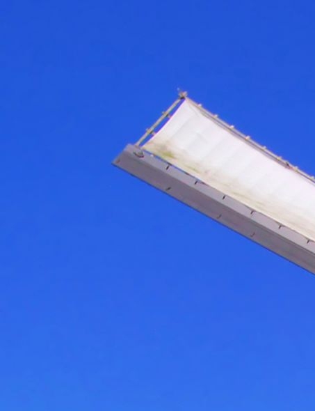 淘宝粉象生活照